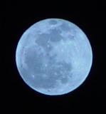 blue_moon2.jpg